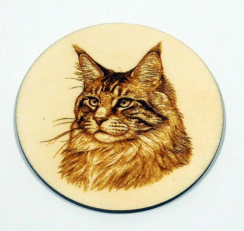 Podtácek kočky