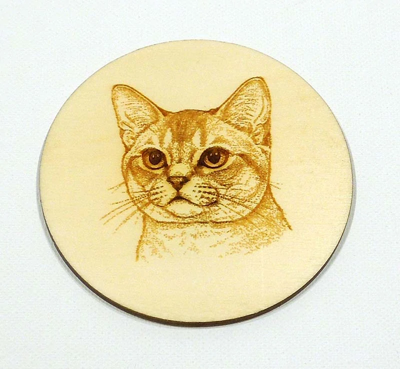Podtácek kočky